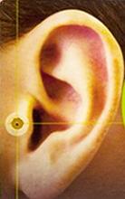 Magnet Earring Slimming Therapy